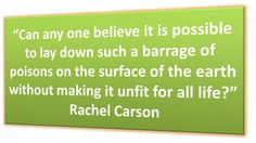 rachel carson quote more carson quotes