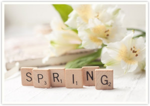 spring has sprung quotes 7 on a shoestring
