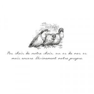 view original image )