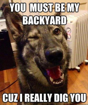 Return to Funny Animal Pictures – 54 Pics
