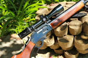 Thread: Do you hunt with a Lever Action?