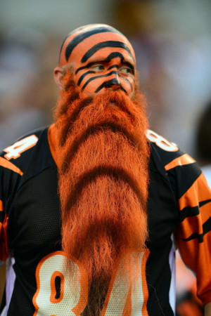 Cincinnati Bengals fan? Or an actual Bengal?