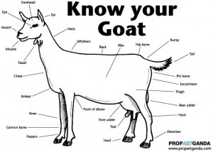 As we are thinking of using goats as currency in the Kingdom of ...