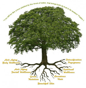 Spiritual Wellness Emotional