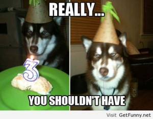 Tired happy birthday picture - Funny Pictures, Funny Quotes, Funny ...