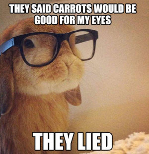 lols . 25 Best Funny animal Quotes and Funny Memes