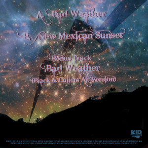 BAD WEATHER’ SINGLE BACK COVER