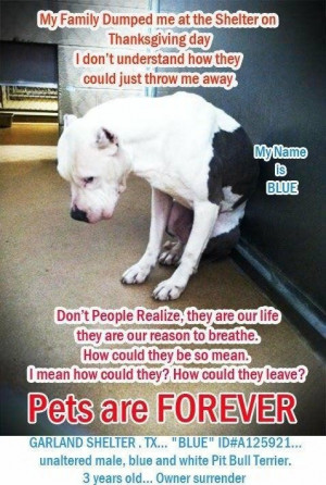 Uploaded to Pinterest