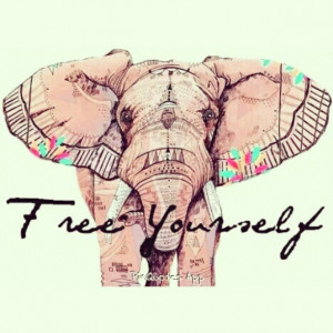 ... the afi 100 years could. Rate quotes where you buy or home, life love