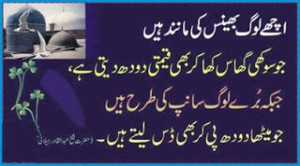 Beautiful Urdu Inspirational Quotes