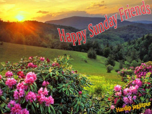 happy sunday greeting card