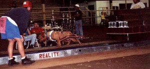 If I'm right he was the Most Weight Pulled National Champion in 1998 ...