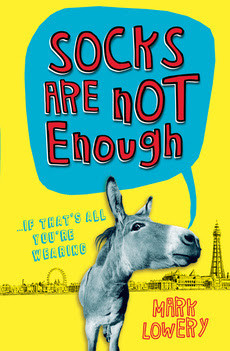 Review: Socks Are Not Enough - Mark Lowery