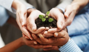 Celebra PVEM entrada en vigor de Ley de Responsabilidad Ambiental