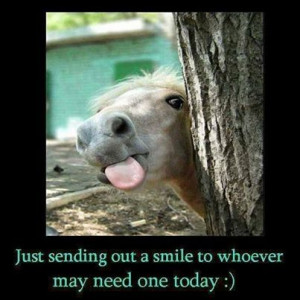 Funniest Humor quotes and Jokes Top 50 quotes Collection