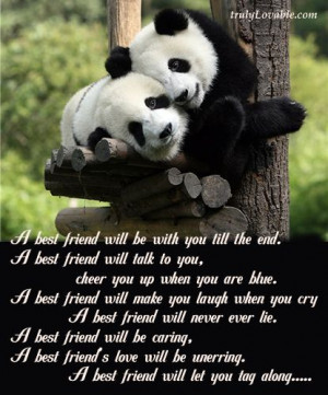 sad friend poems that make you cry | Best Friend Will: Pandas Bears ...