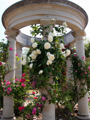 Welcome To Quotes And Sayings