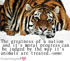 animal gandhi picture quote