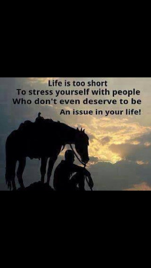 Horses people quotes
