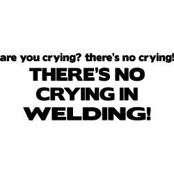 theres_no_crying_welding_bumper_bumper_sticker.jpg?height=250&width ...