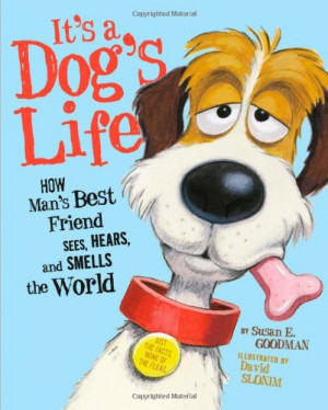 It's A Dog's Life: How Man's Best Friend Sees, Hears, And Smells The ...