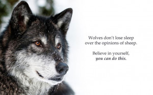 wolf sayings and quotes