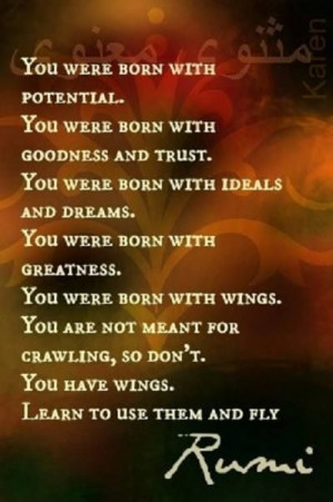 Learn how to use your wings and fly.