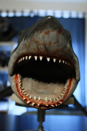 Thread: NTT Bruce Maquette by Mike Schultz