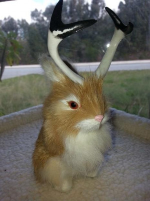 Reddit Inc All Rights Reserved