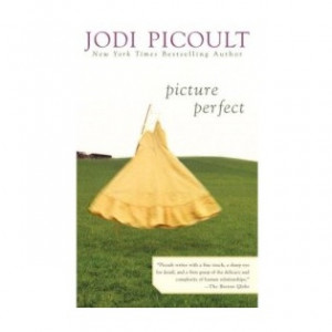 fiction book picture perfect jodi picoult picture perfect jodi picoult