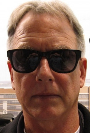 some brands that mark harmon wears owned by mark harmon