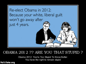 You That Stupid Obama 2012 Youre Too To Know Better picture