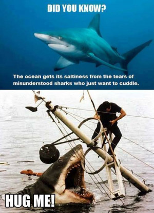 Shark Facts: Did you know?