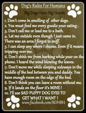 If dogs could talk...