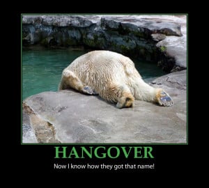 Funny Hangover quotes and sayings