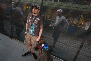 dog Panzer, attends a Chicago Cubs' game with a group of veterans ...