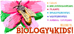 Biology 4 Kids has all kinds of links to information about cells ...