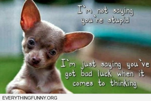 quote i'm not saying you're stupid I'm just saying you've got bad luck ...