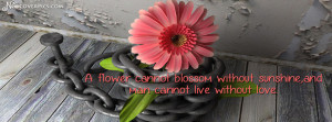 Pink Flower Quotes About Life Facebook Cover Photo