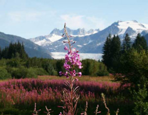 Alaska Wilderness