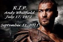 Dustin Clare Picture