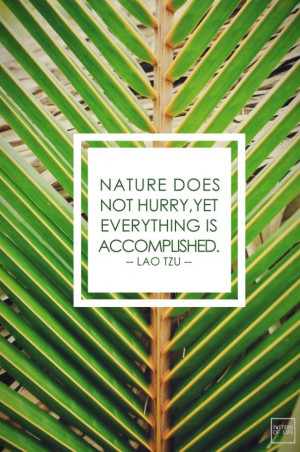 Nature does not hurry, yet everything is accomplished. -- Lao Tzu ...
