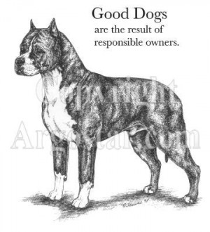 American Pit Bull Terrier, Good Dogs are the result of responsible ...
