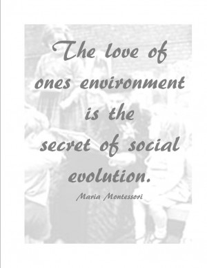 Montessori Quote This is the most critical period in all of human ...