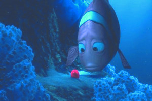 Remember Dory From Finding