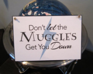 Large Craft Sign - Harry Potter Ins pired - Don't Let the Muggles Get ...