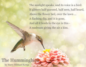 ... Kemp Site has info on plants for hummingbirds and hummingbird gardens