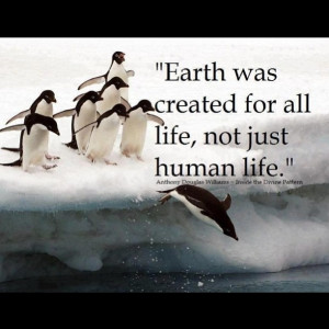 ... to realize God didn't just create Earth for us, but for animals also