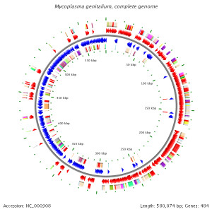 Saturday, December 30, 2006