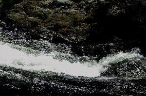 ... downstream, it takes a live one to swim upstream.— W. C. Fields